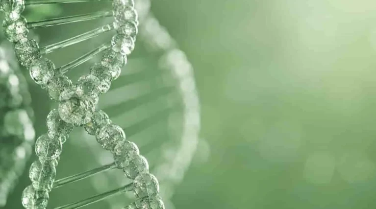 yumurtalık kanserinde genetik genetik yumurtalık kanserinde genetik